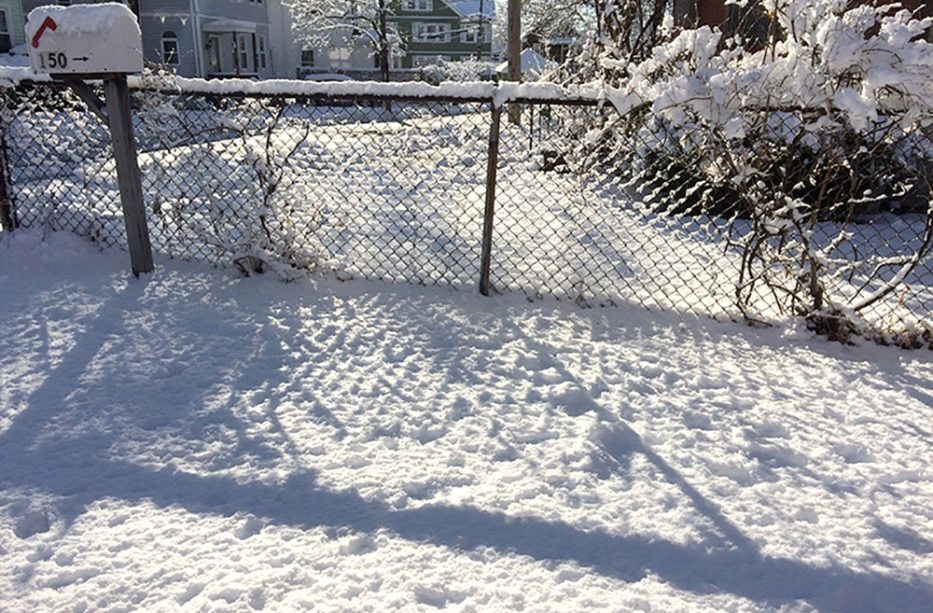 Snowfall in Boston neighbourhood, Massachusetts, New England