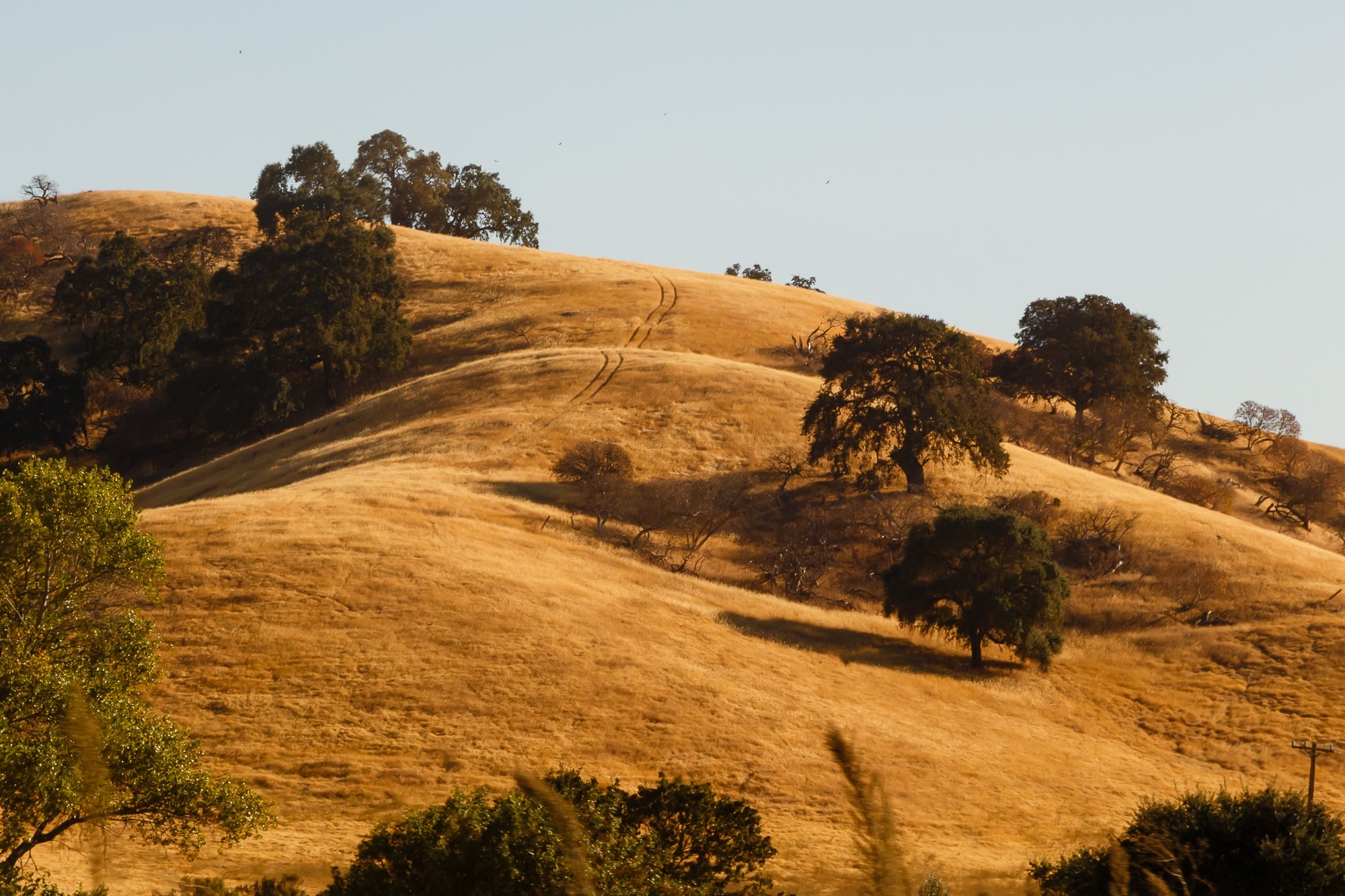 Golden California hills